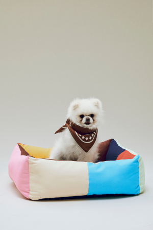 HAY | M színes kutyaágy | Dogs Bed-Medium-Multi | Home of Solinfo